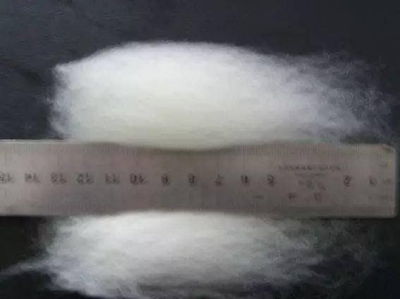 化纖世界入門(mén) 認(rèn)識(shí)衣物背后的化學(xué)纖維基本概念與代號(hào)